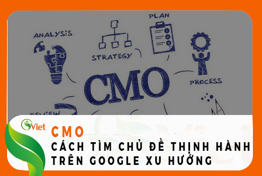 CMO - Giám đốc Digital Marketing Cách tìm chủ đề thịnh hành trên Google xu hướng.